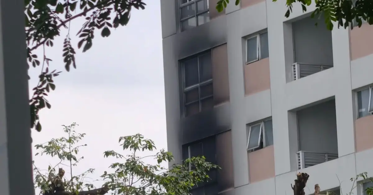 Mặt đứng tòa chung cư màu trắng hồng, một dãy cửa sổ các tầng bị ám khói đen sau vụ cháy, phía trước là hàng cây