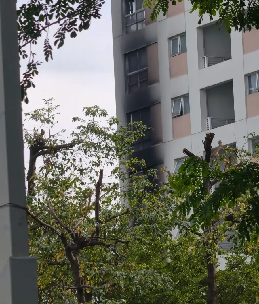 Mặt đứng tòa chung cư, dãy cửa sổ nhiều tầng bị ám khói đen, phía trước là hàng cây xanh