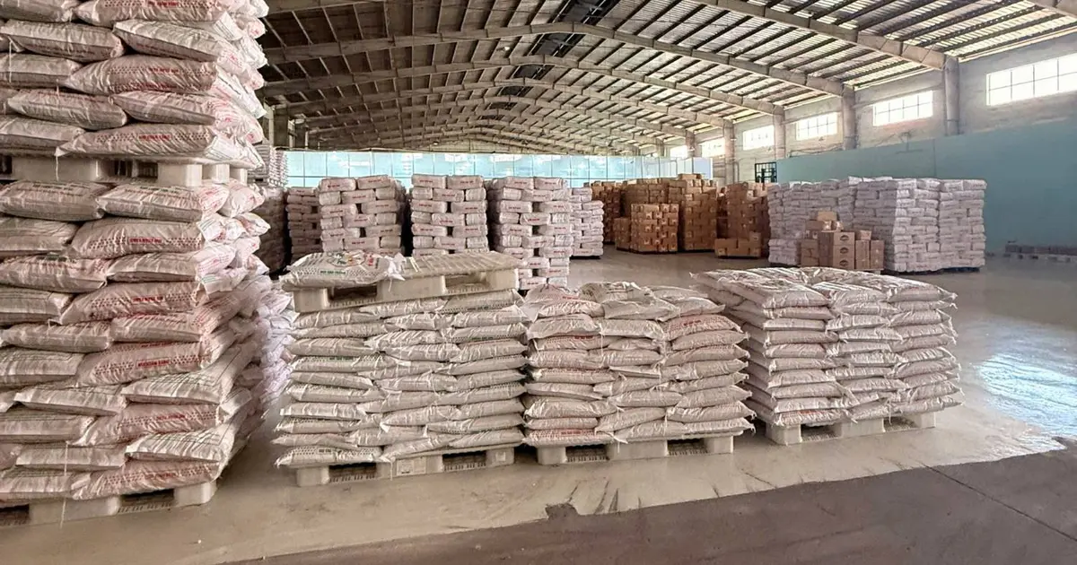Bên trong nhà kho mái tôn khung thép rộng, các kiện hàng bao xếp trên pallet và thùng carton phía xa